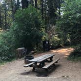 Review photo of Samuel P. Taylor State Park Campground by Jocelyn M., August 18, 2021