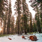 Review photo of Mt. Shasta Area by George B., June 19, 2018