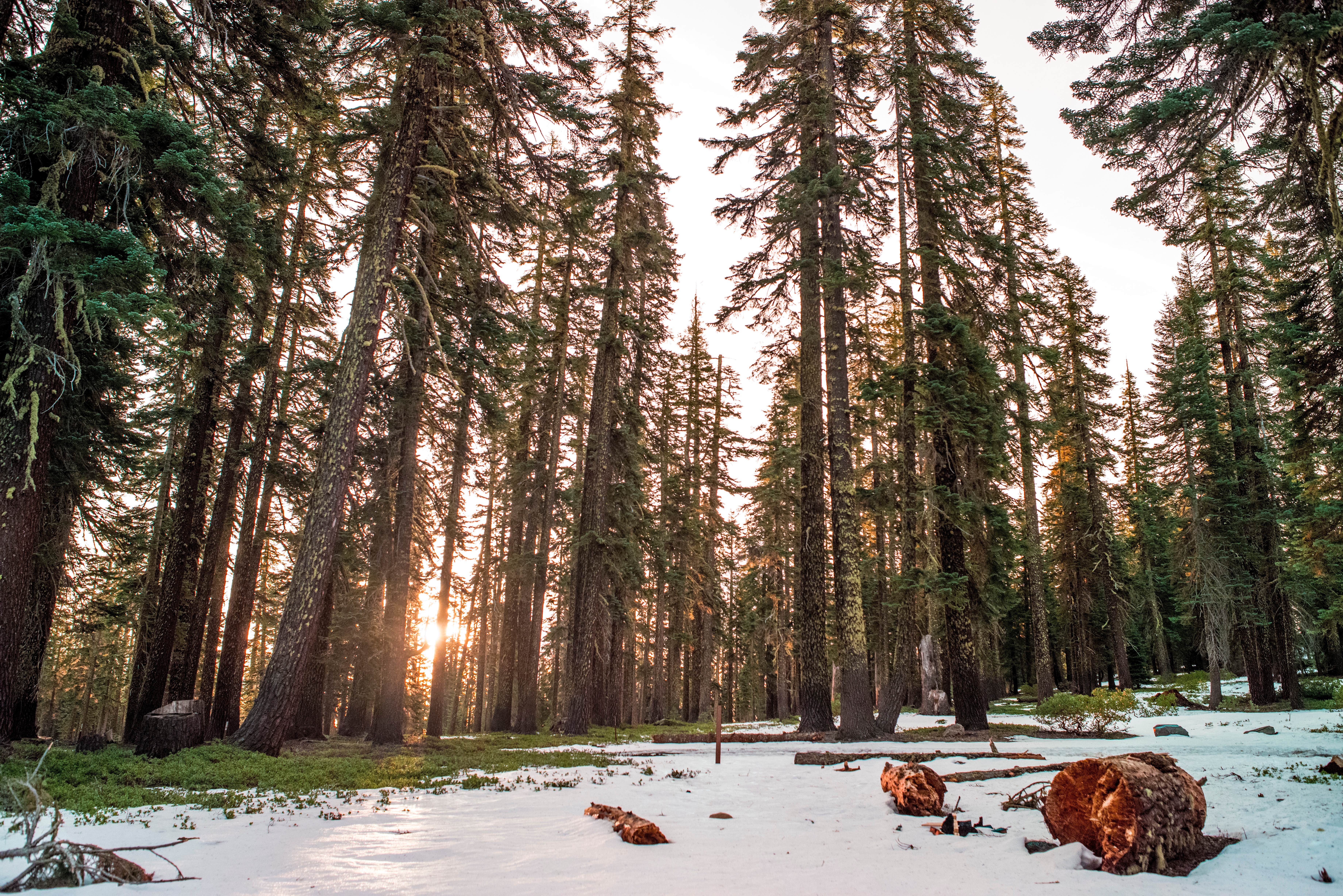 Camper submitted image from Mt. Shasta Area - 1