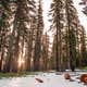 Mt. Shasta Area