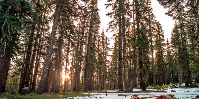 Camper submitted image from Mt. Shasta Area