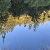 Review photo of Idyllwild Campground by George B., June 19, 2018