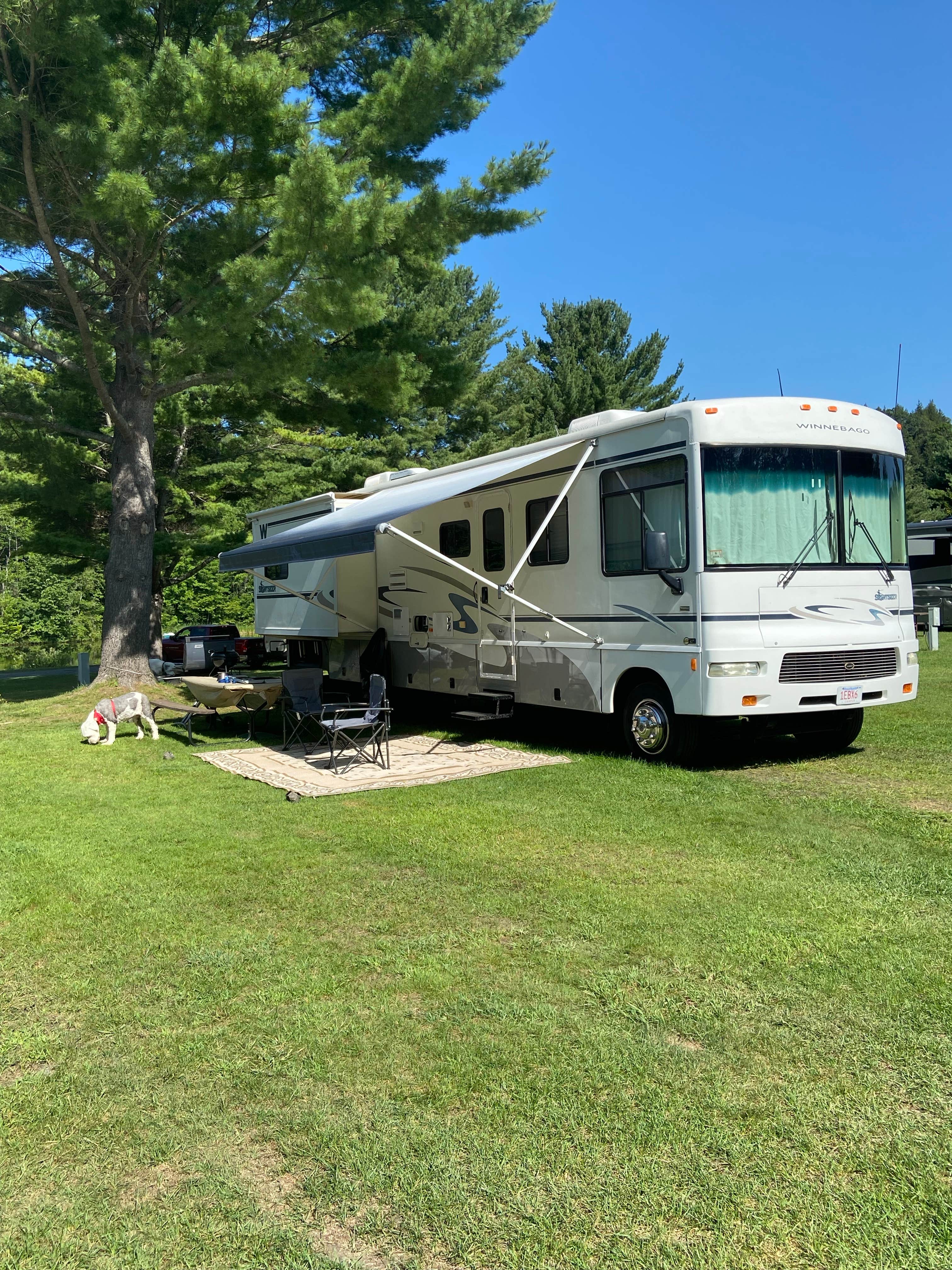 Camper submitted image from Limehurst Lake - 3