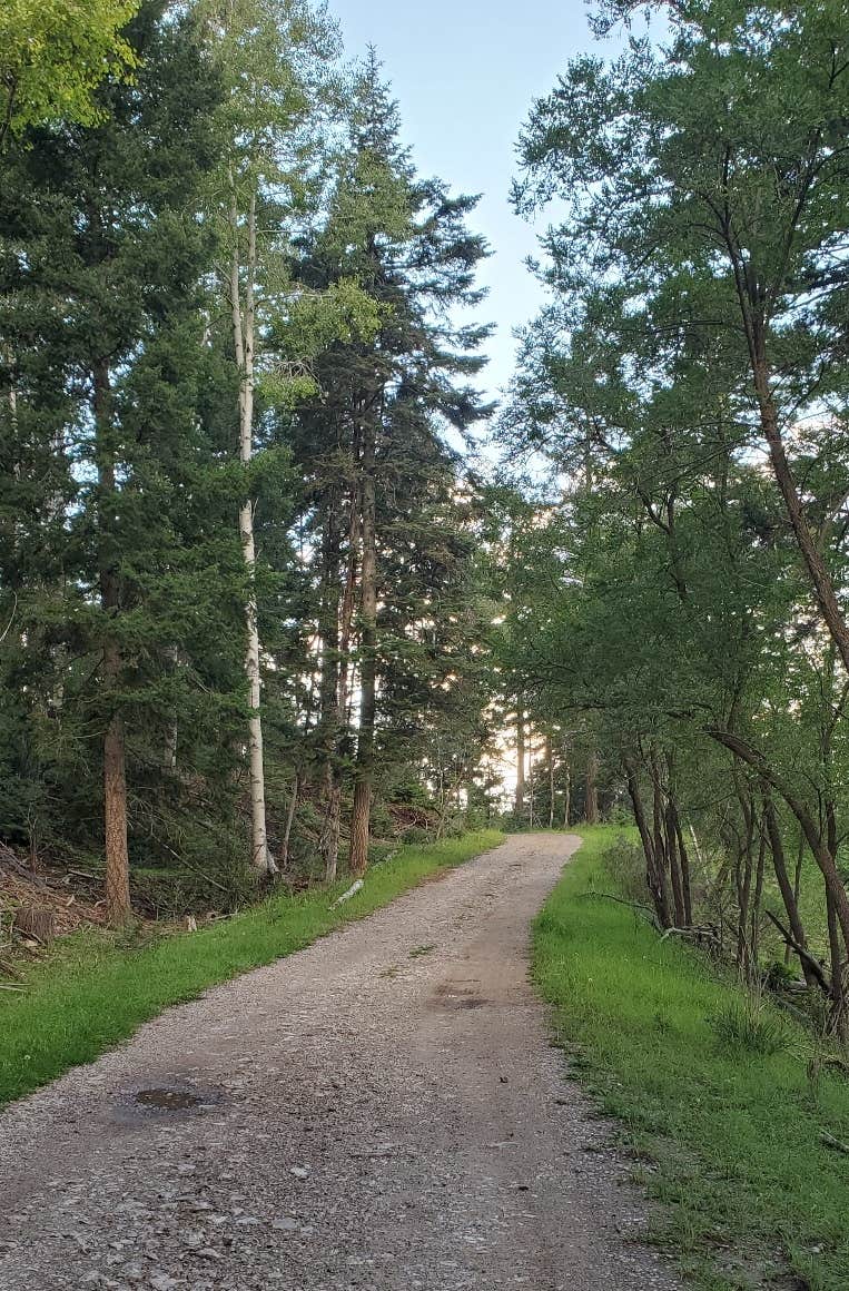 Forest Road 568 Dispersed Camping Cloudcroft, NM