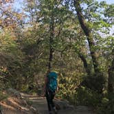 Review photo of Idyllwild Campground — Mount San Jacinto State Park by George B., June 19, 2018