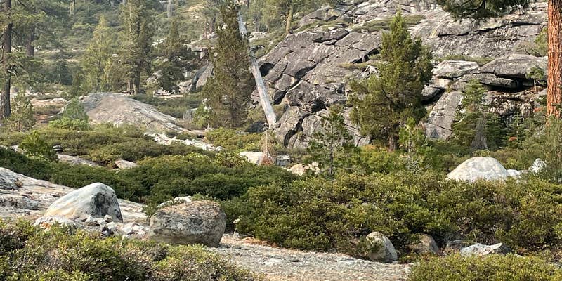 Camper submitted image from Lovers Leap Campground