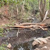 Review photo of Water Canyon Recreation Area by Van S., August 18, 2021