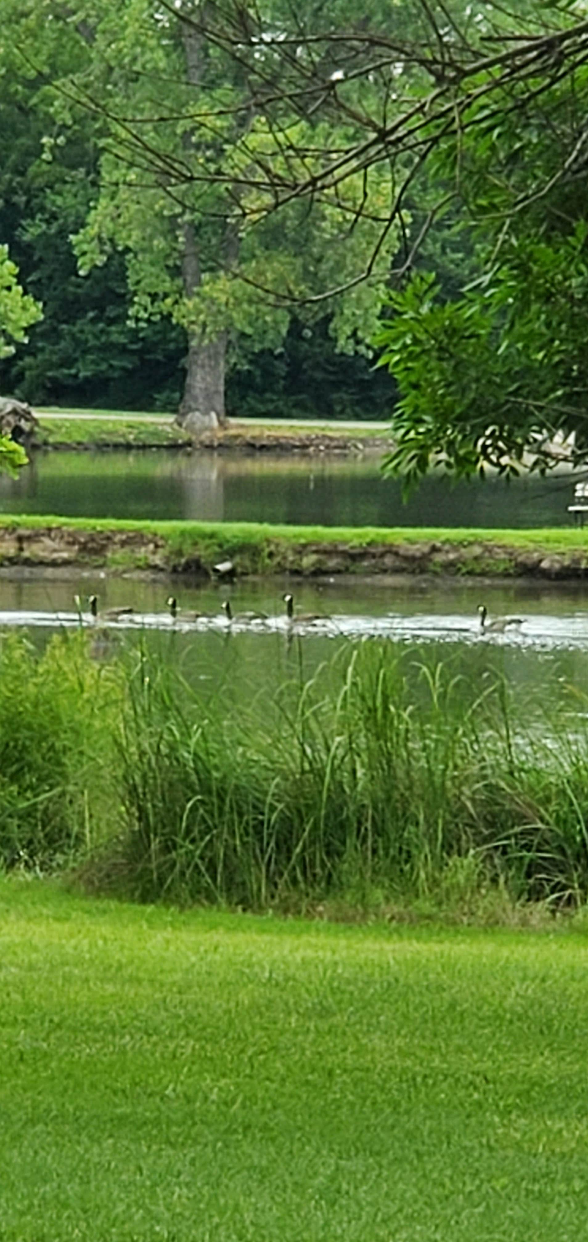 Camper-submitted photo at Wichita’s Spring Lake RV Resort near McPherson, KS