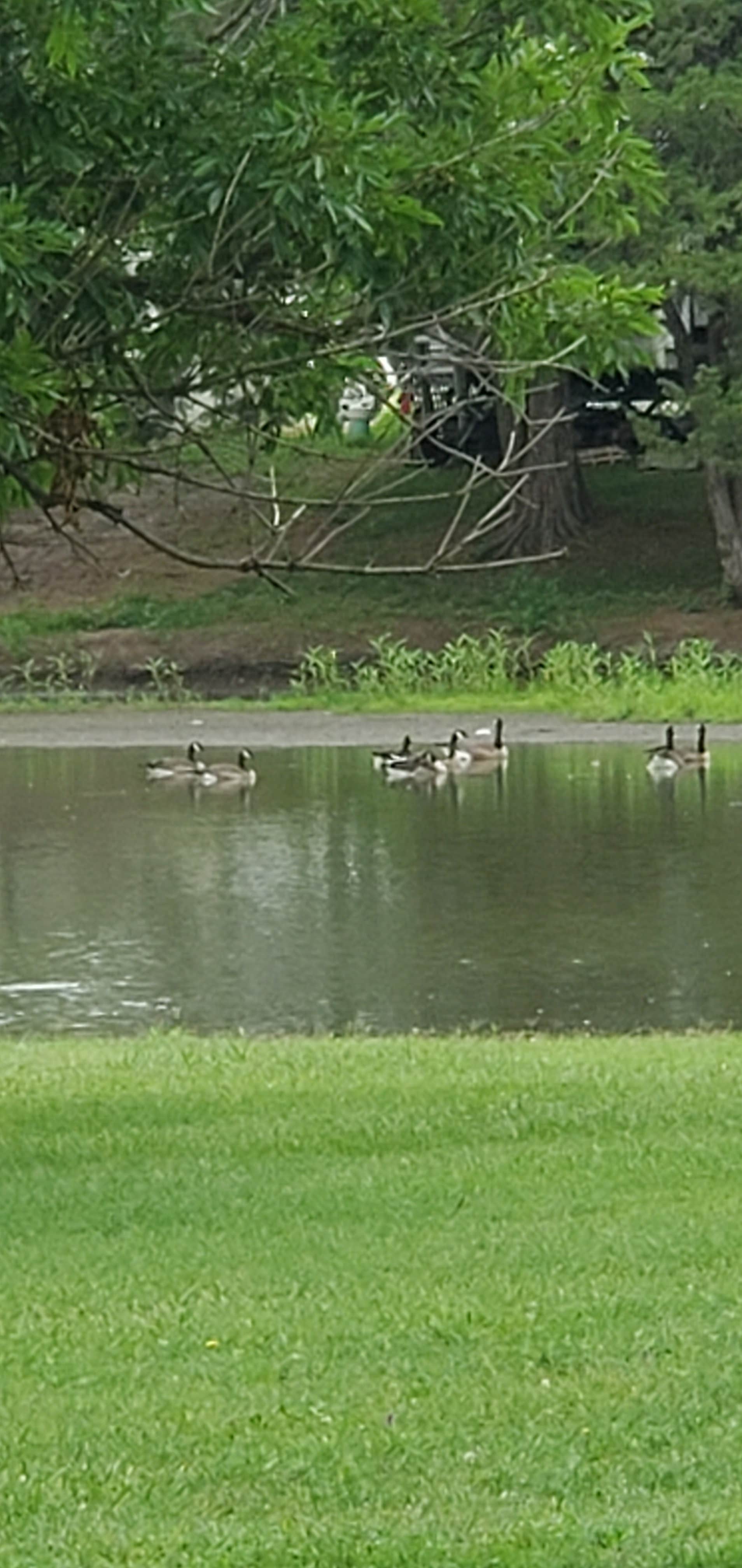 Camper-submitted photo at Wichita’s Spring Lake RV Resort near McPherson, KS