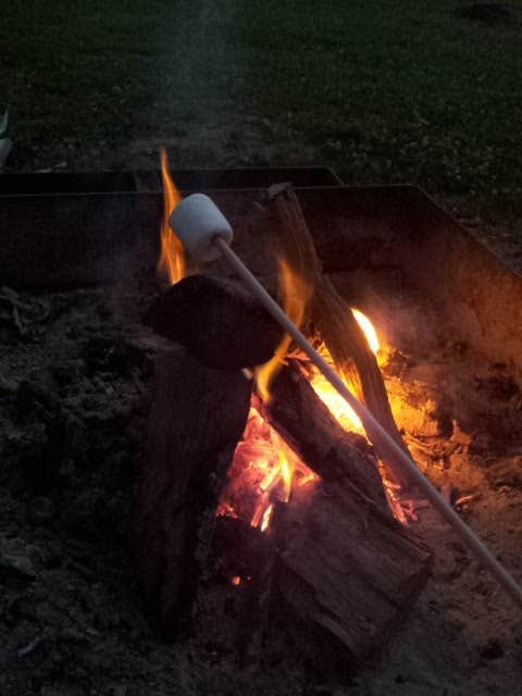 Camper-submitted photo at Cuivre River State Park Campground in Missouri