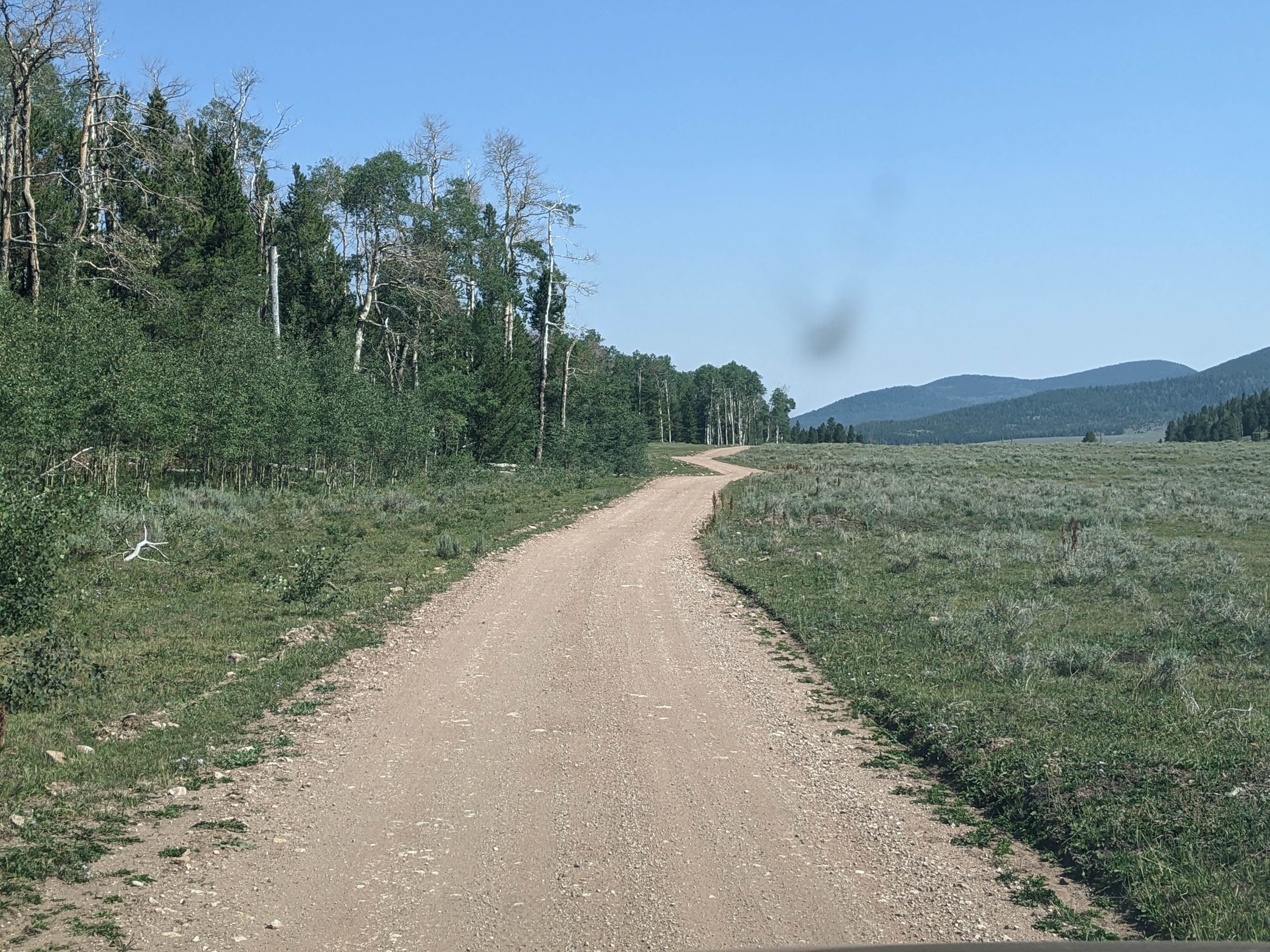 Camper submitted image from FS Road #253 Stringham Cabin Dispersed Camping Area - 3