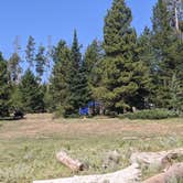 Review photo of FS Road #253 Stringham Cabin Dispersed Camping Area by Greg L., August 18, 2021