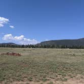 Review photo of FS Road #253 Stringham Cabin Dispersed Camping Area by Greg L., August 18, 2021