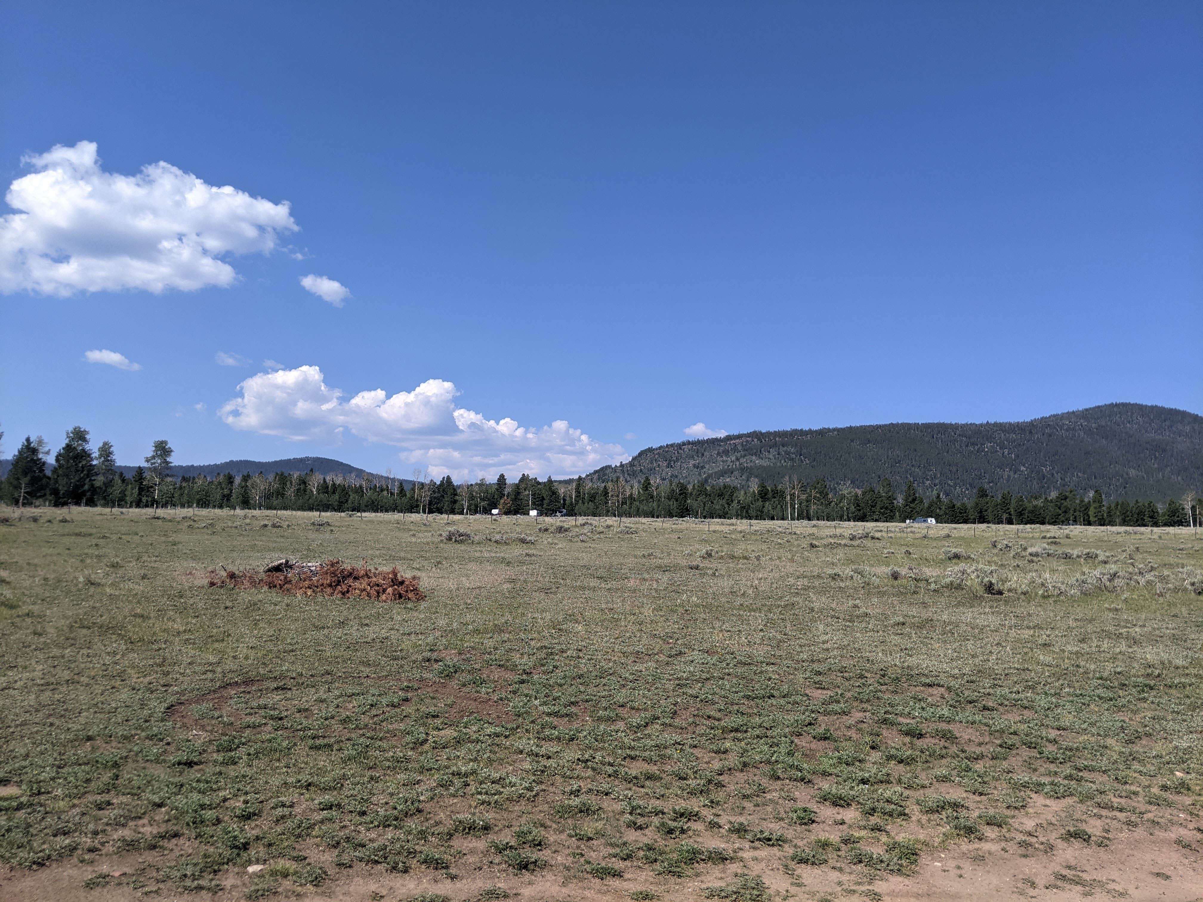 Camper submitted image from FS Road #253 Stringham Cabin Dispersed Camping Area - 4