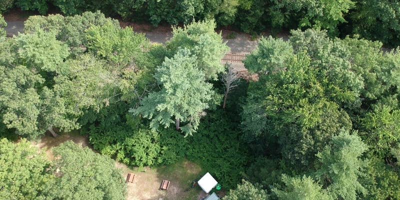 Camper submitted image from Wild Acres Sun RV Resort