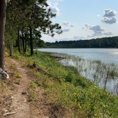 Review photo of Bear Paw Campground — Itasca State Park by Torey H., August 19, 2021