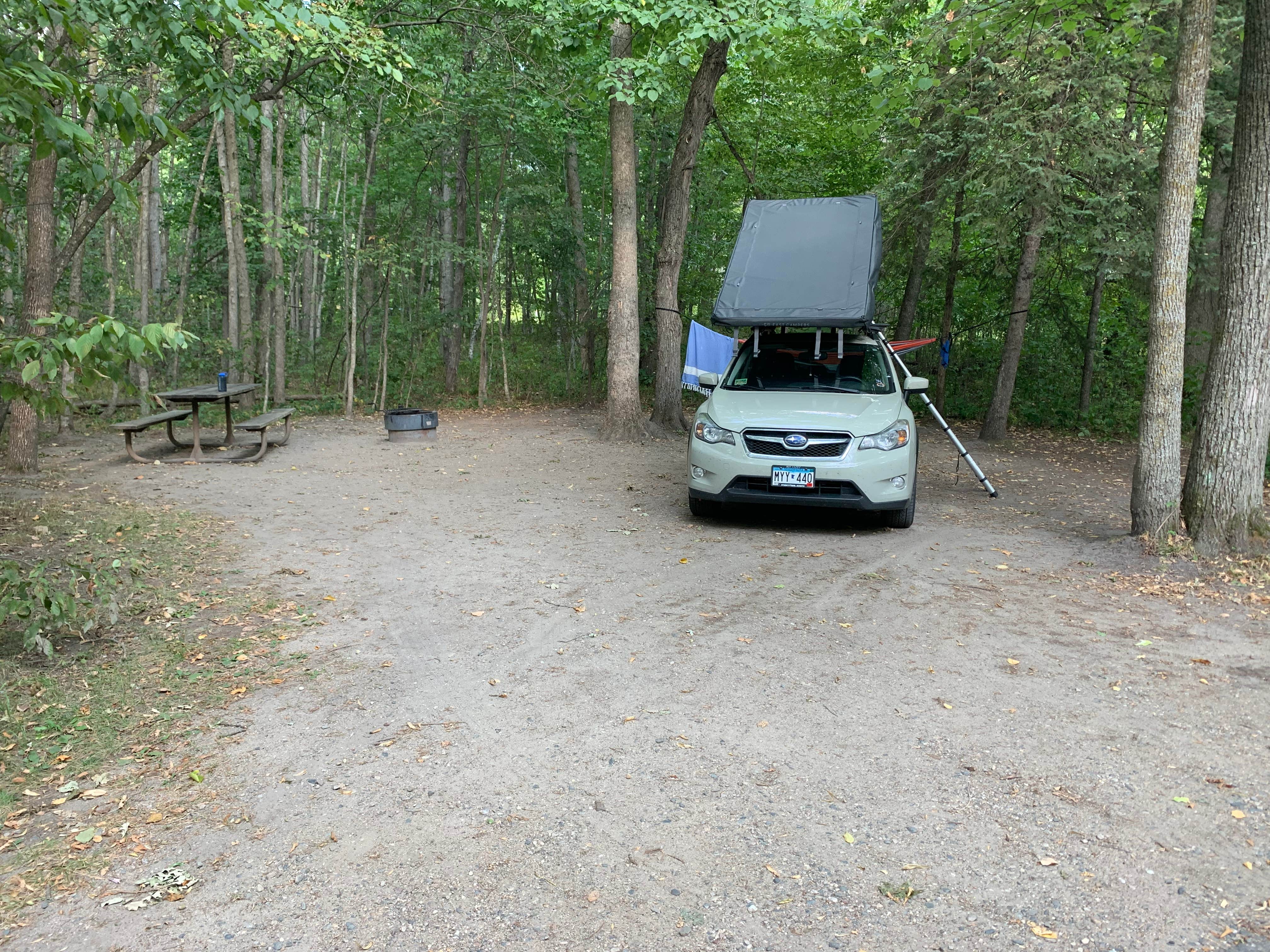 Torey H.'s photo at Bear Paw Campground — Itasca State Park near Midway, MN