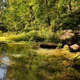 Review photo of Beaver Creek Valley State Park Campground by Torey H., August 19, 2021