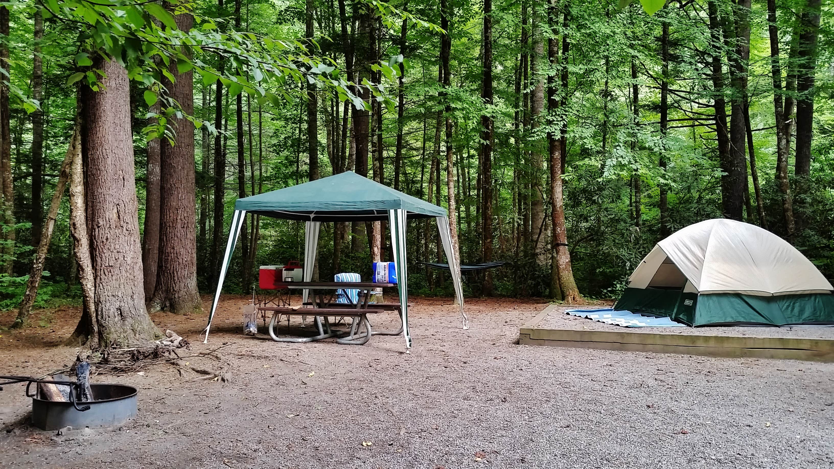 Myron C.'s photo at Cataloochee Campground — Great Smoky Mountains National Park near Lake Junaluska, NC