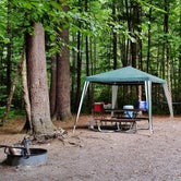 Review photo of Cataloochee Campground — Great Smoky Mountains National Park by Myron C., June 19, 2018