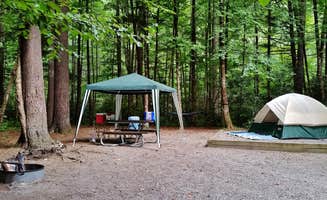 Myron C.'s photo at Cataloochee Campground — Great Smoky Mountains National Park near Lake Junaluska, NC