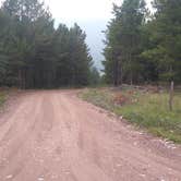 Review photo of FS Road #177 Bowden Draw Dispersed Camping Area by Greg L., August 19, 2021