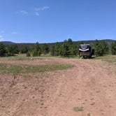 Review photo of FS #049 Road Dispersed Camping Area by Greg L., August 19, 2021
