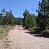 Review photo of FS #049 Road Dispersed Camping Area by Greg L., August 19, 2021