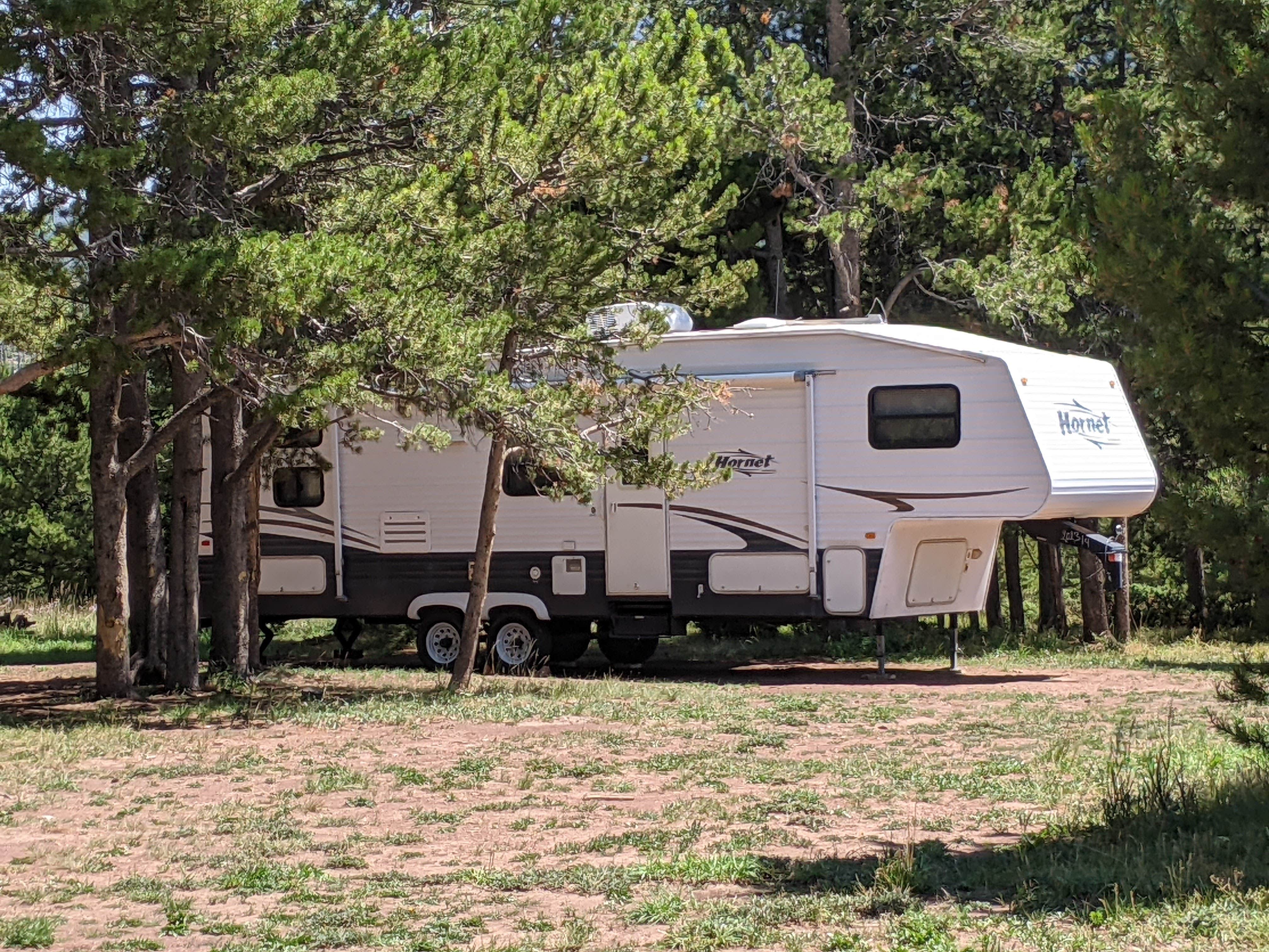 Camper submitted image from FS #049 Road Dispersed Camping Area - 4