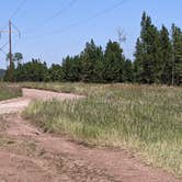 Review photo of FS #049 Road Dispersed Camping Area by Greg L., August 19, 2021