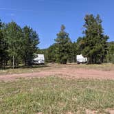 Review photo of FS #049 Road Dispersed Camping Area by Greg L., August 19, 2021