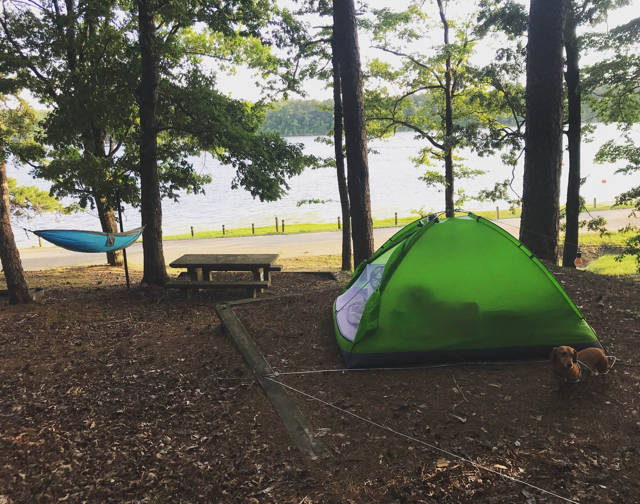 Paige P.'s photo at Self Creek near Dierks, AR