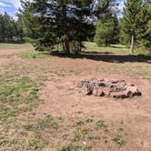 Review photo of FS #049 Road Dispersed Camping Area by Greg L., August 19, 2021