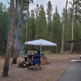 Review photo of Madison Campground — Yellowstone National Park by William P., August 19, 2021