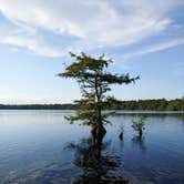 Review photo of Jones Lake State Park Campground by Marvin D., August 19, 2021