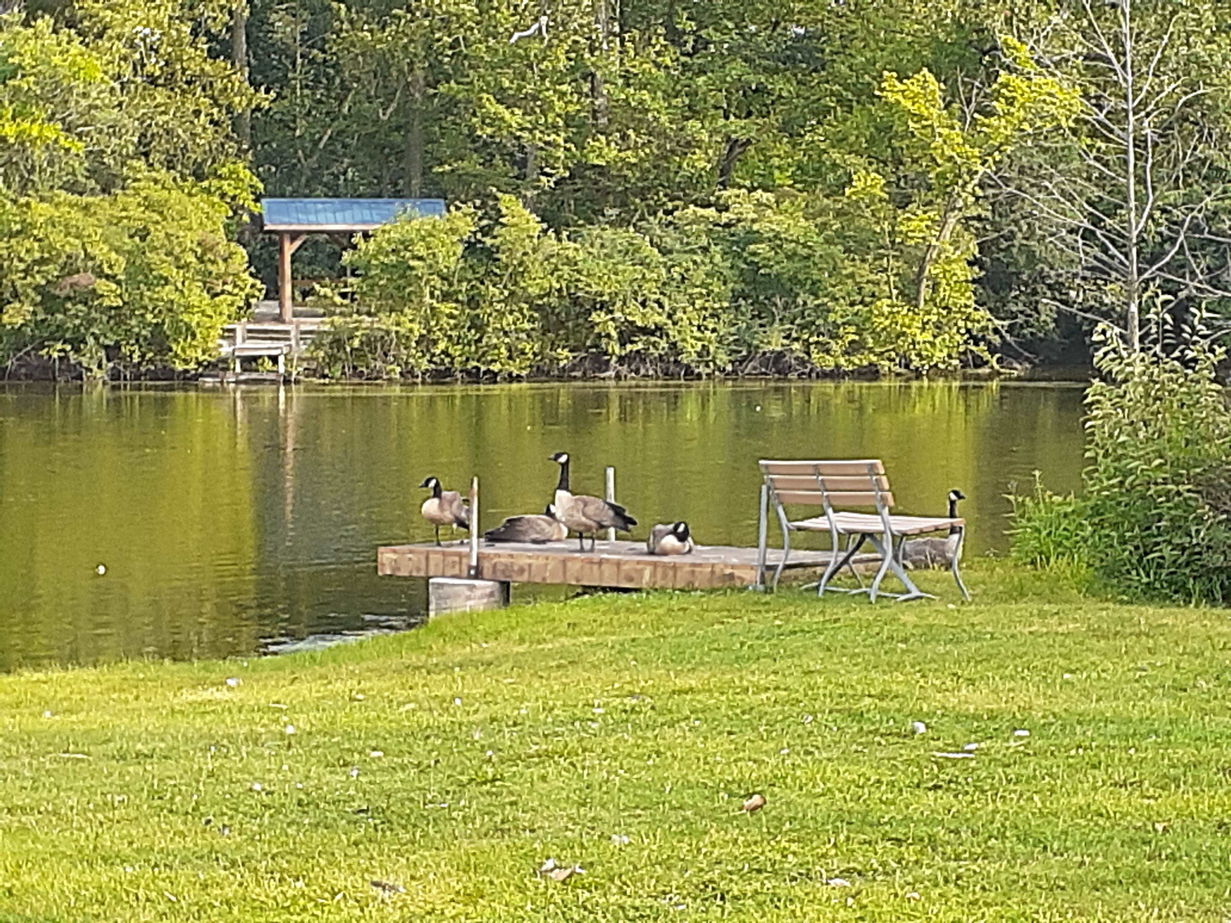 Camper submitted image from Camelot Campground Quad Cities USA - 1