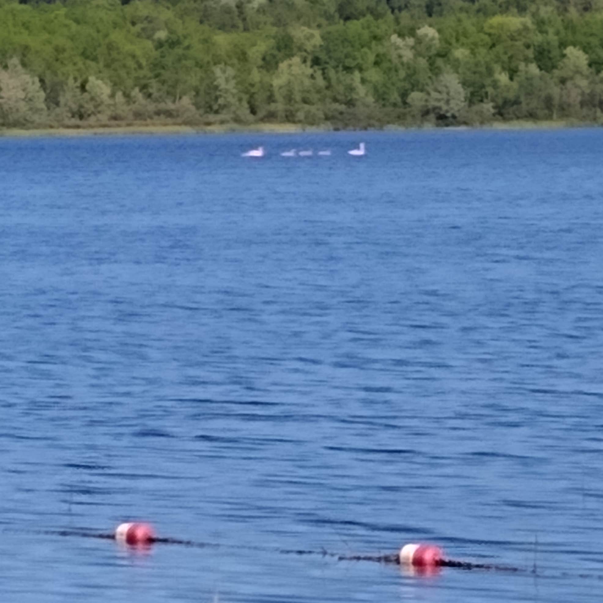 Lake Gogebic County Park Camping The Dyrt