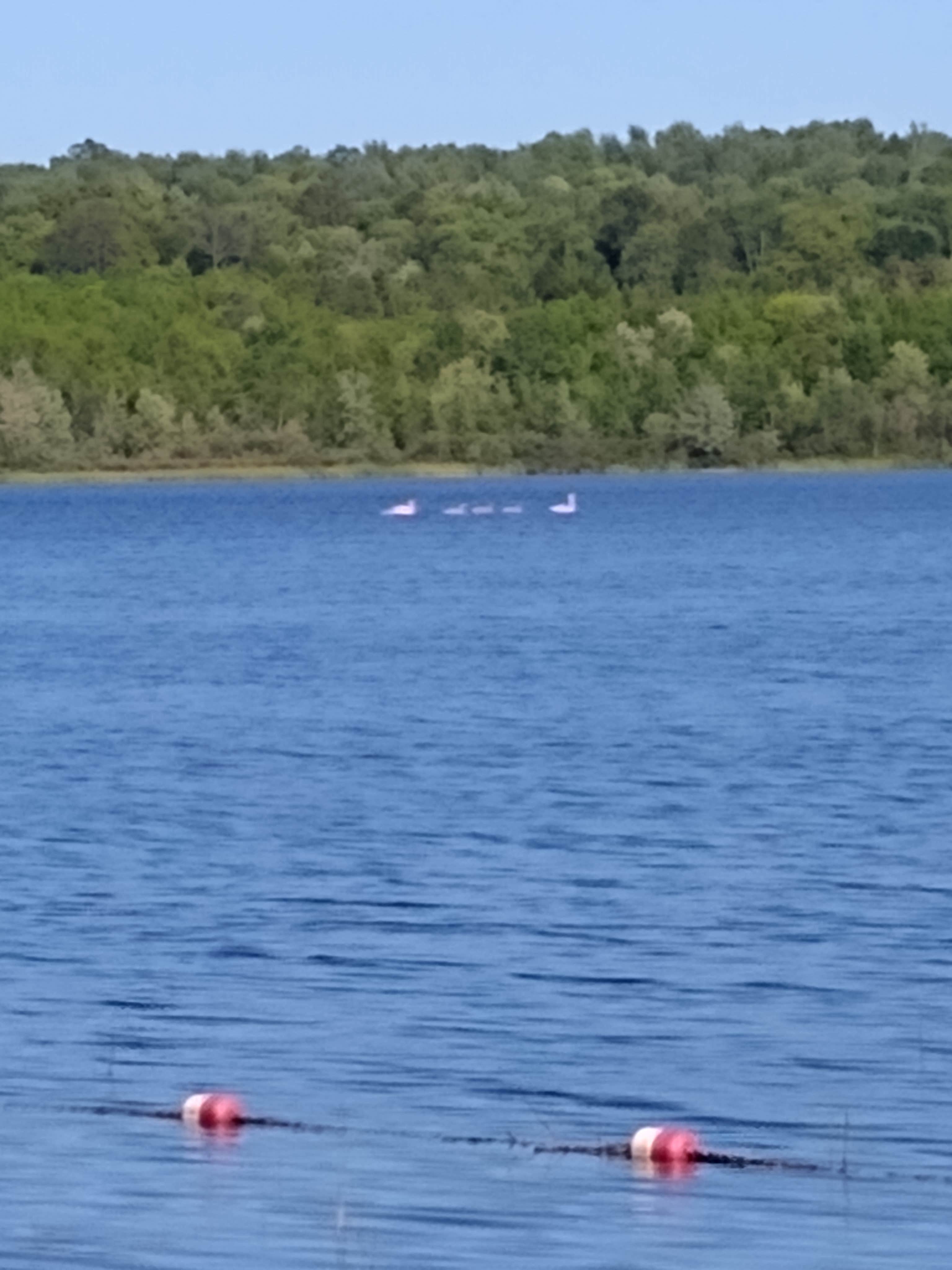 Camper submitted image from Lake Gogebic County Park - 4