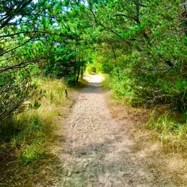 The path to the beach.