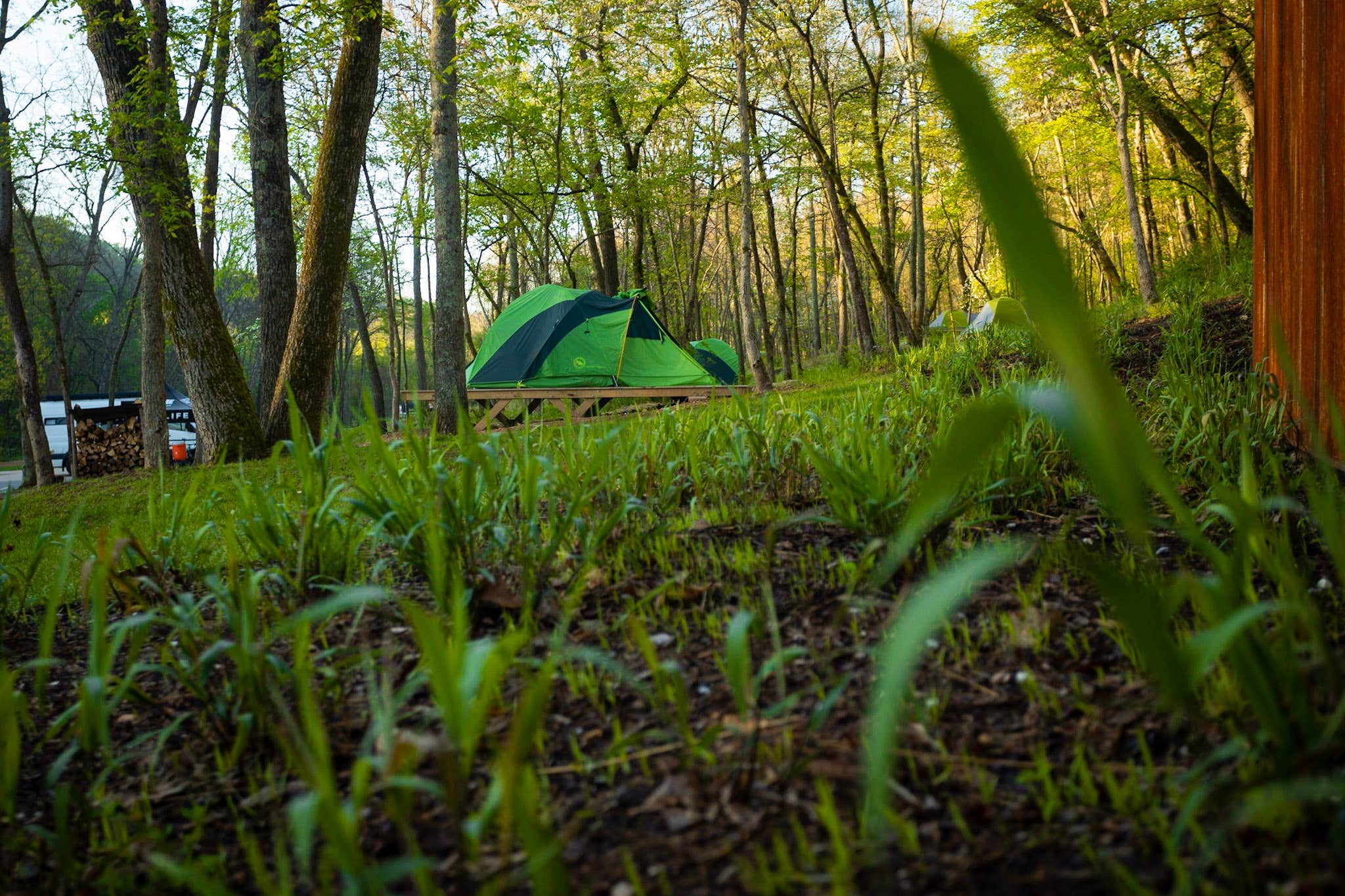 Camper-submitted photo at The Campground at Coler near Rogers, AR