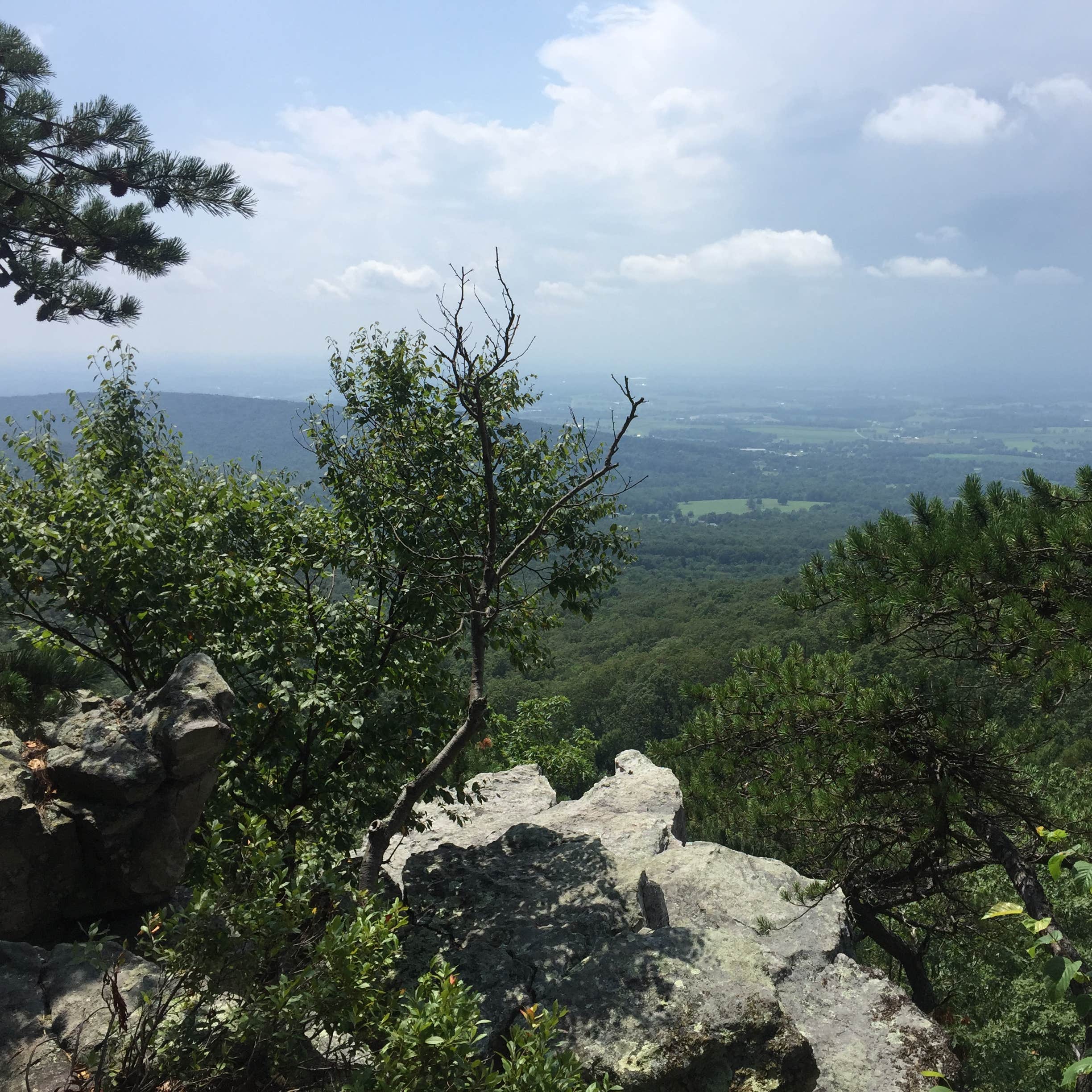 Annapolis Rock Campground Camping The Dyrt