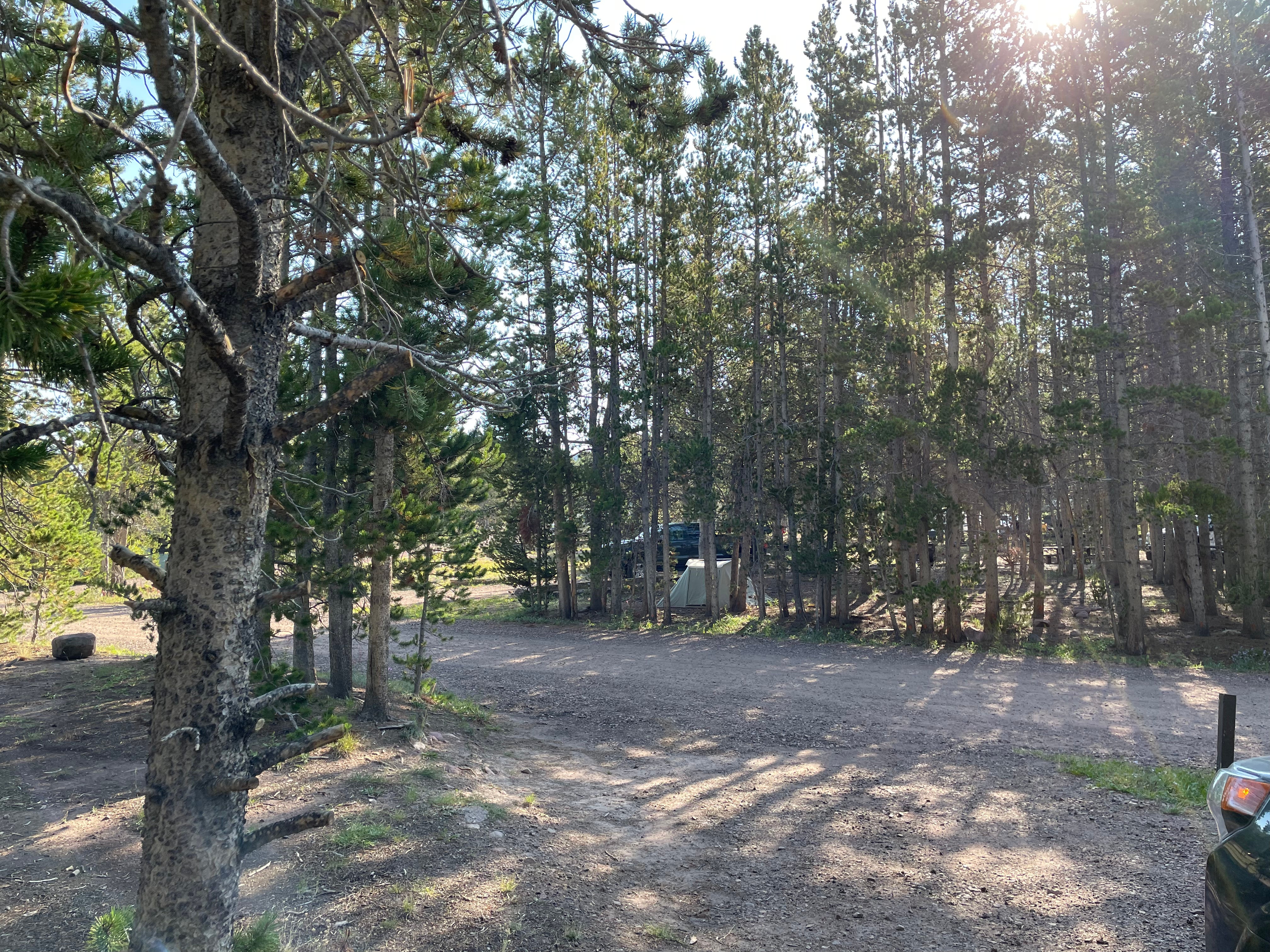 Camper submitted image from Stateline Campground - 4