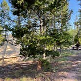 Review photo of Stateline Campground by Callie B., August 19, 2021