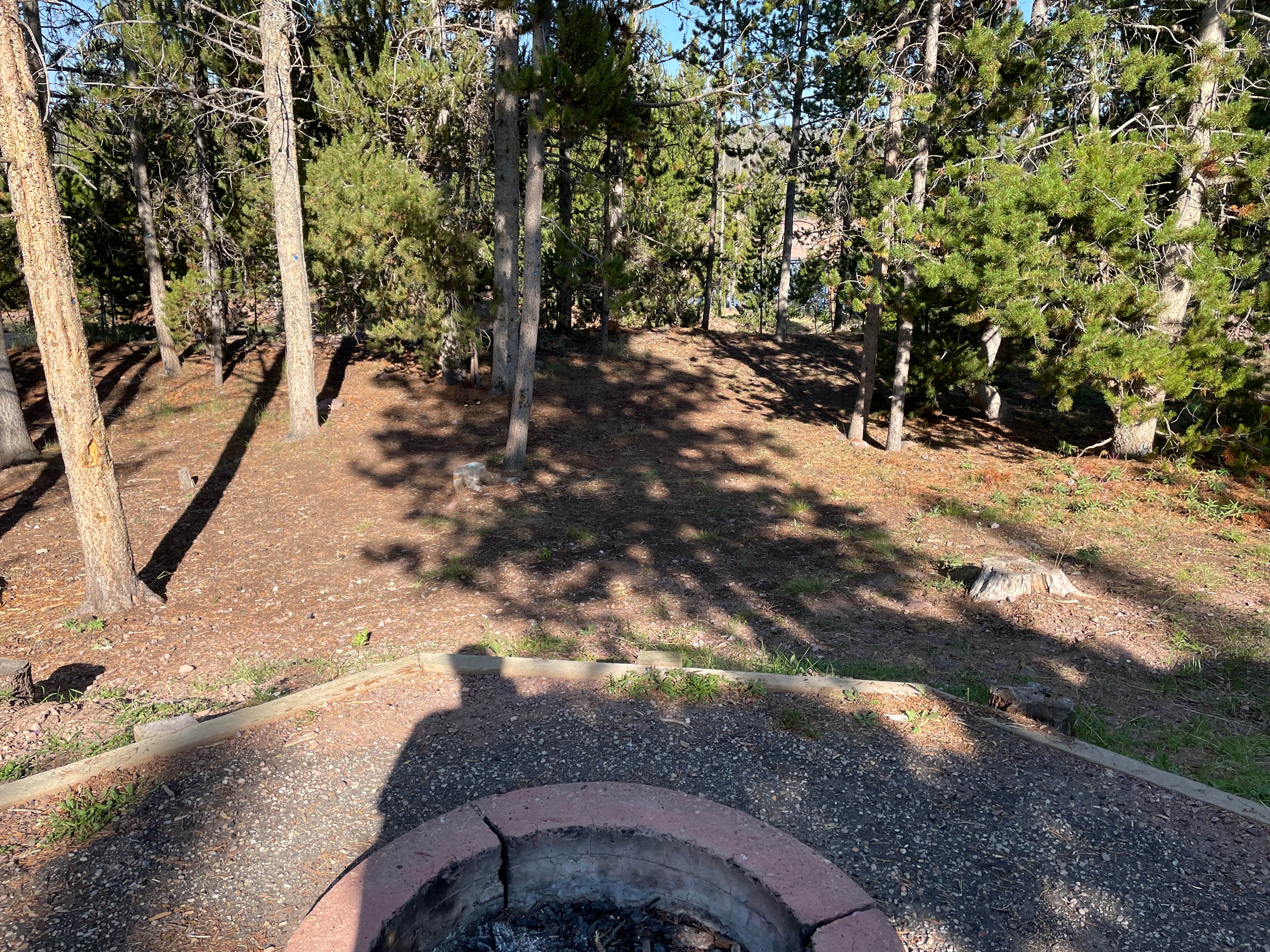 Best camping in Ashley National Forest The Dyrt