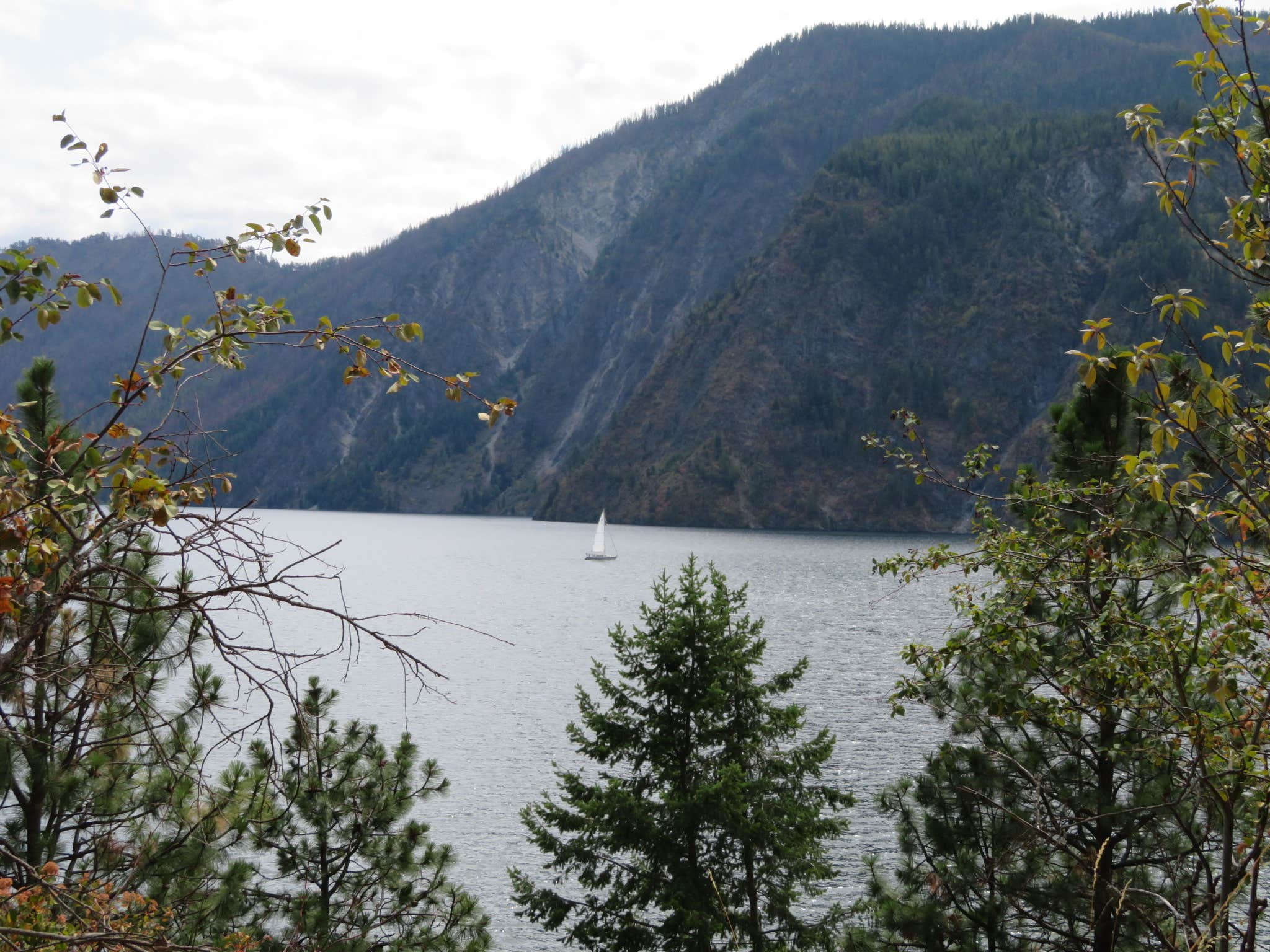 Camper submitted image from Snowberry Campground — Farragut State Park - 5