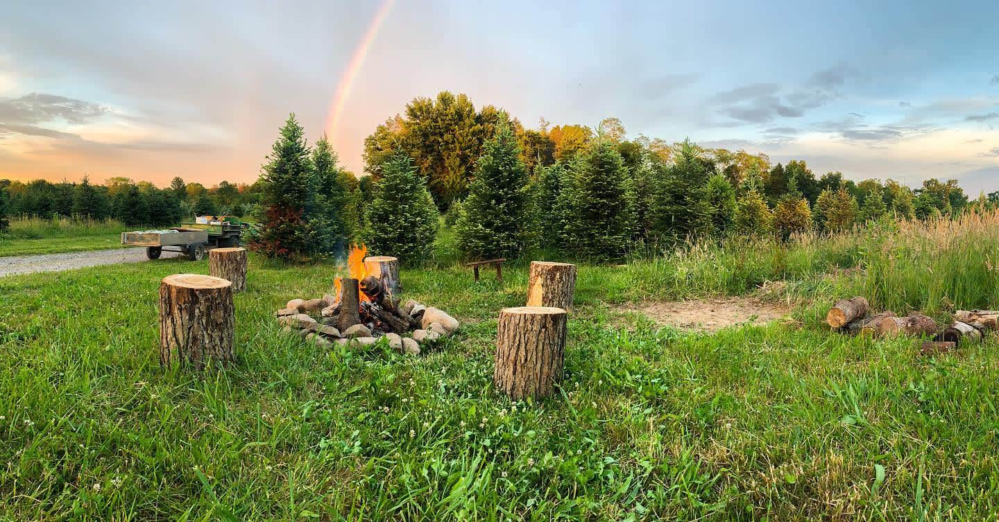 Camper-submitted photo at Pioneer Trails Tree Farm Campground near Glenshaw, PA