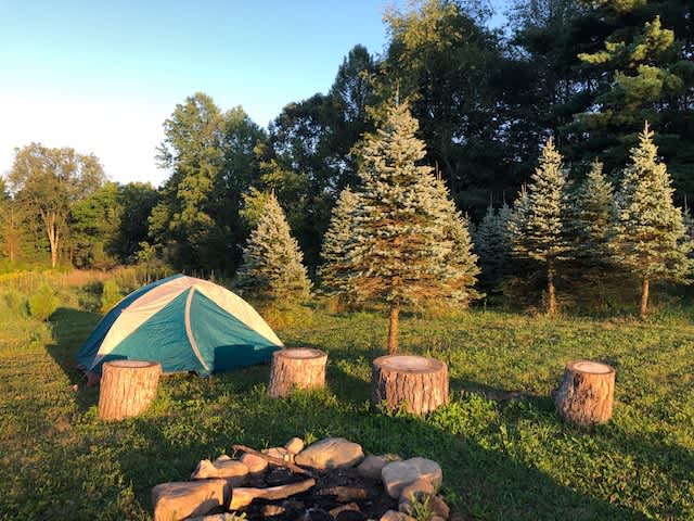 Camper submitted image from Pioneer Trails Tree Farm Campground - 1