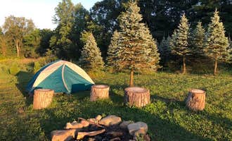 Camping near Salem-Lisbon Ohio KOA: Pioneer Trails Tree Farm Campground, Struthers, Ohio