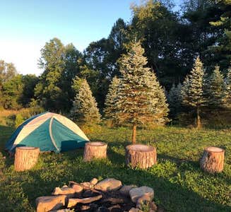 Best Tent Camping near New Castle, PA