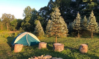 Camping near Chestnut Ridge Park and Campground: Pioneer Trails Tree Farm Campground, Struthers, Ohio